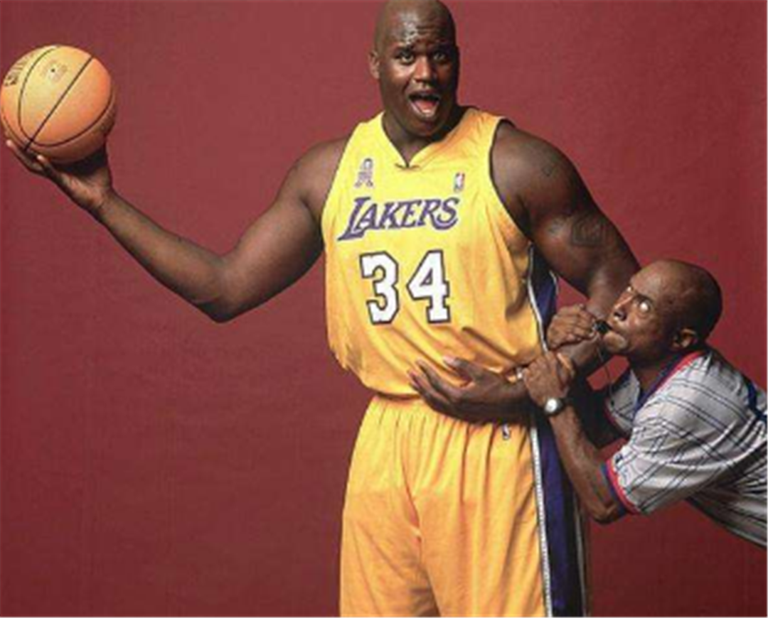 八村塁的价 八村塁的价